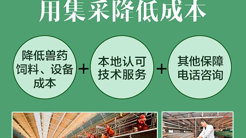 HEX荧光引物合成：揭秘其关键工艺与报价构成