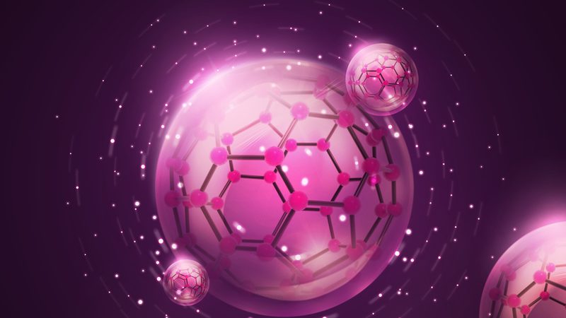 培养基性价比高的关键考量因素**