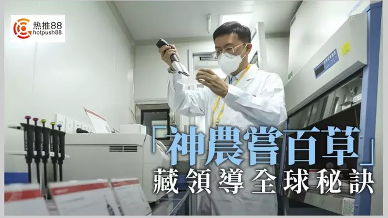 细胞培养基生产：揭秘背后的科技与选择**