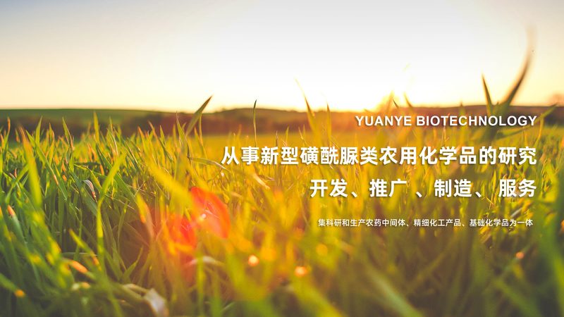 离心管密封性检测：保障生物实验数据准确性的关键