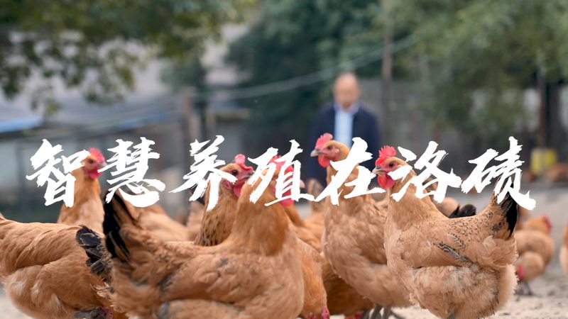 揭秘CRO平台费用构成：如何避免不必要的支出