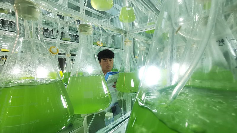 基因测序实验：揭秘操作步骤与关键要点